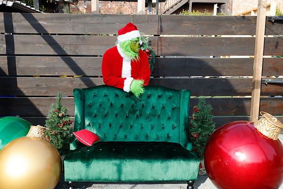 grinch_154