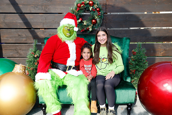grinch_116