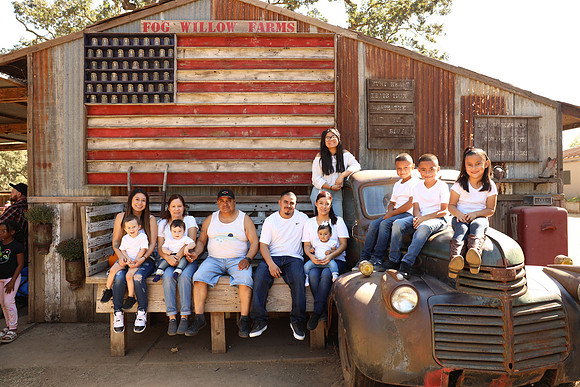 fwf_146