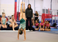 brooklyn_13