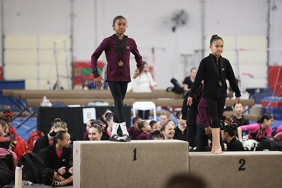 phoanix_54
