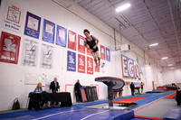 levine_11
