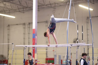 levine_17