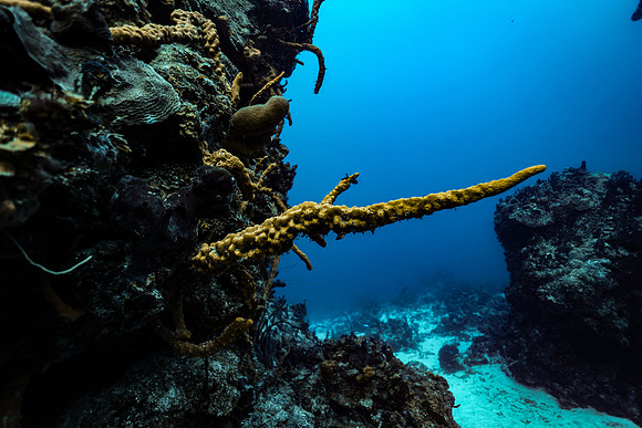 cozumel_3