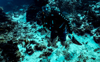 cozumel_5