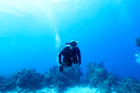 cozumel_6