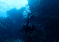 cozumel_8