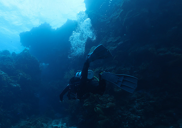 cozumel_8