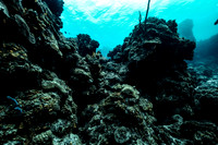 cozumel_10