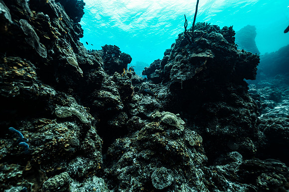 cozumel_10