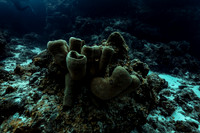 cozumel_11