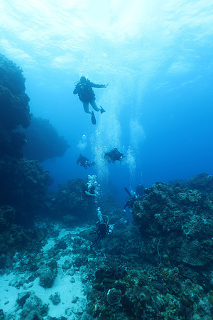 cozumel_12