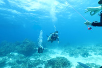 cozumel_15