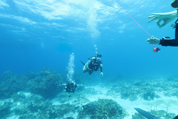 cozumel_15