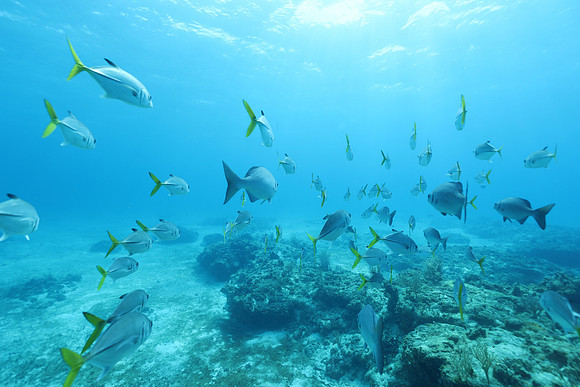 cozumel_32