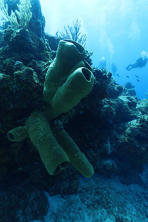 cozumel_49