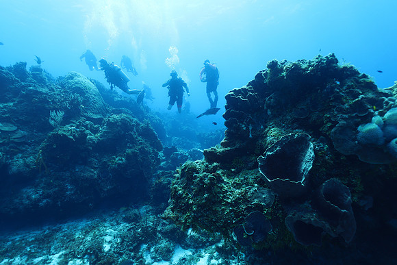 cozumel_51