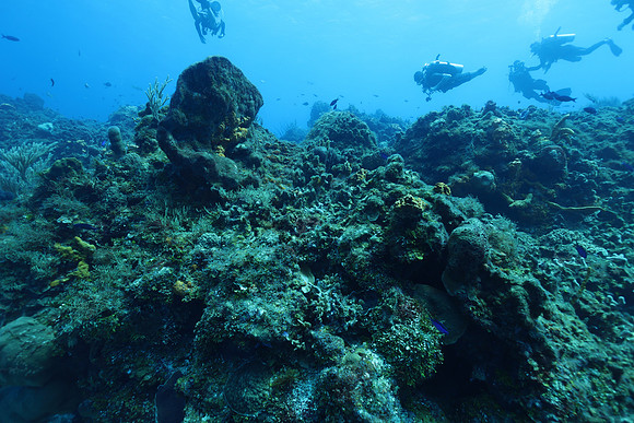cozumel_52