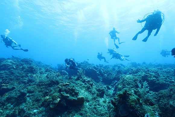cozumel_53