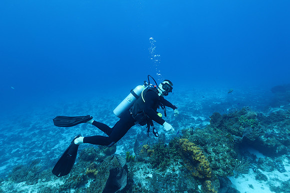 cozumel_63