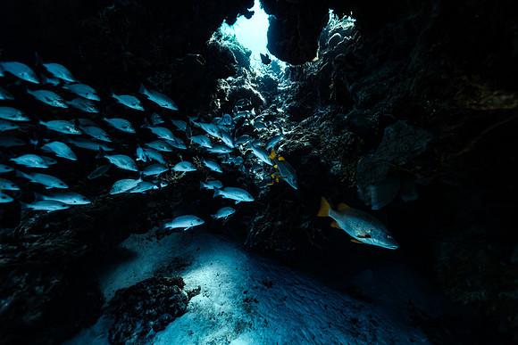 cozumel_71