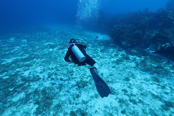 cozumel_72