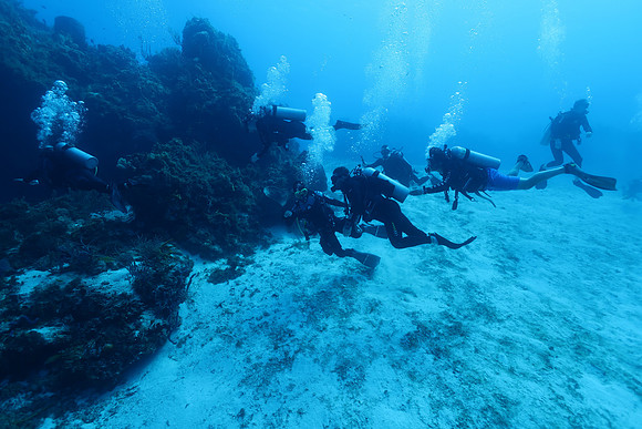 cozumel_81