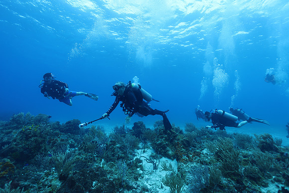 cozumel_100