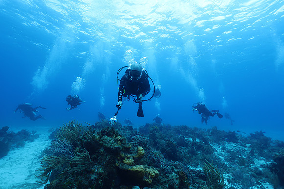 cozumel_101