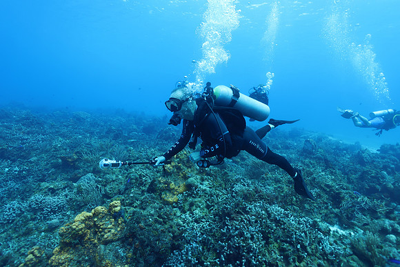 cozumel_104