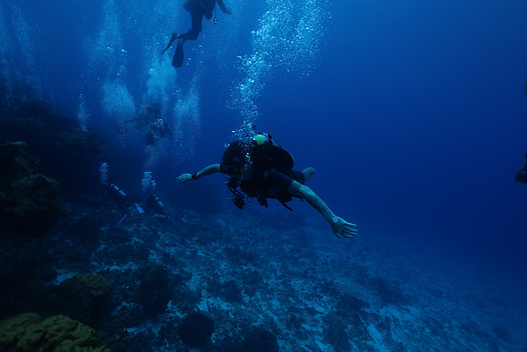 cozumel_141