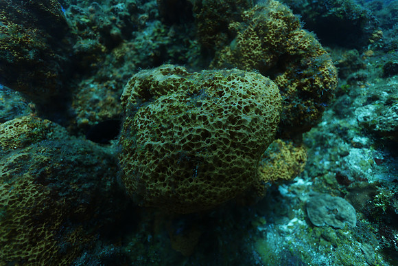 cozumel_145