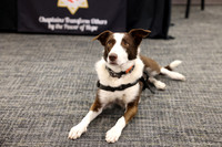 sacsheriff_6