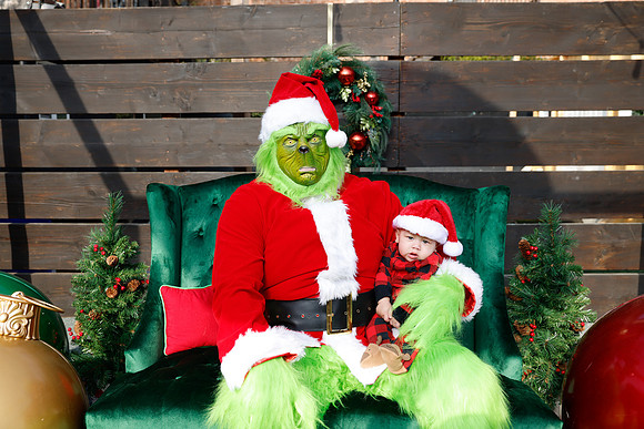 grinch_103