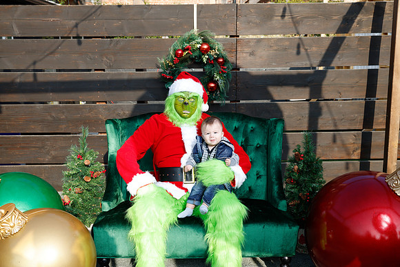 grinch_13
