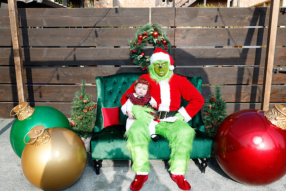 grinch_45