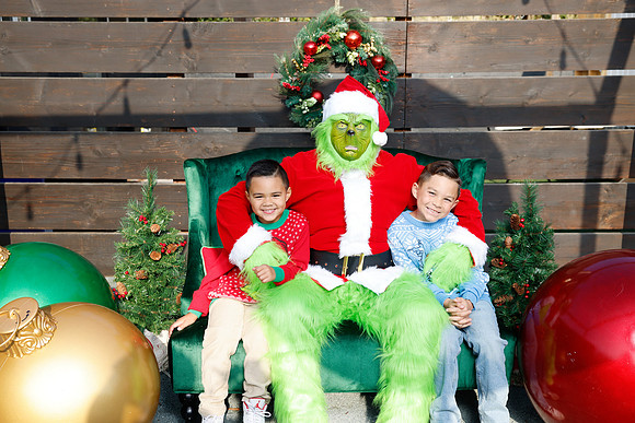 grinch_46