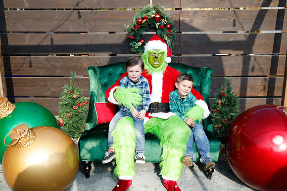 grinch_26