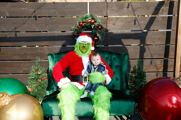 grinch_14