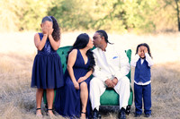 Tfamily_3