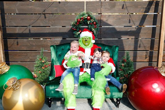 grinch_25
