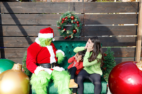 grinch_118