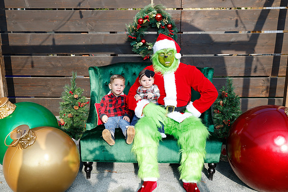 grinch_27