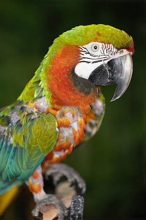 paratopia_mannychavez_2