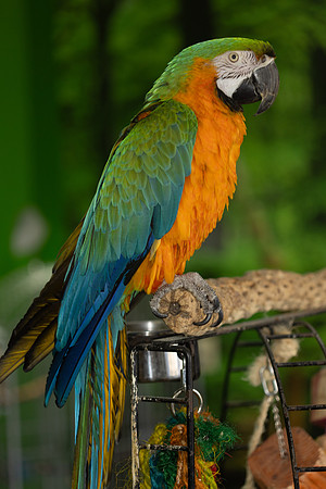 paratopia_mannychavez_7