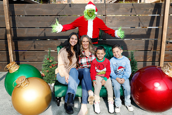 grinch_48