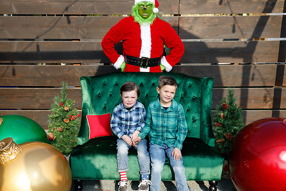 grinch_24
