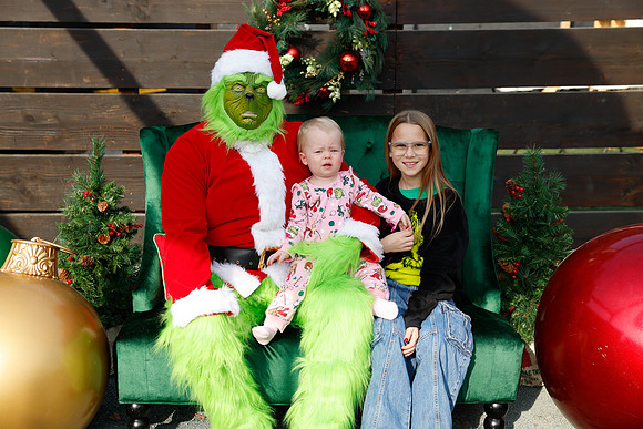 grinch_146