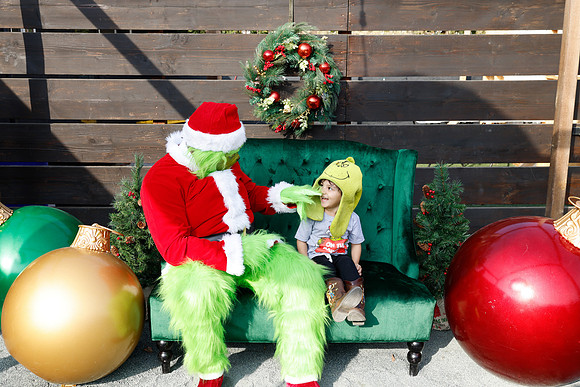 grinch_159