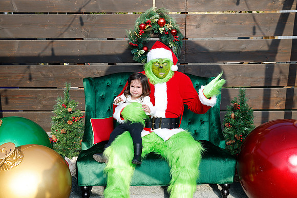 grinch_37